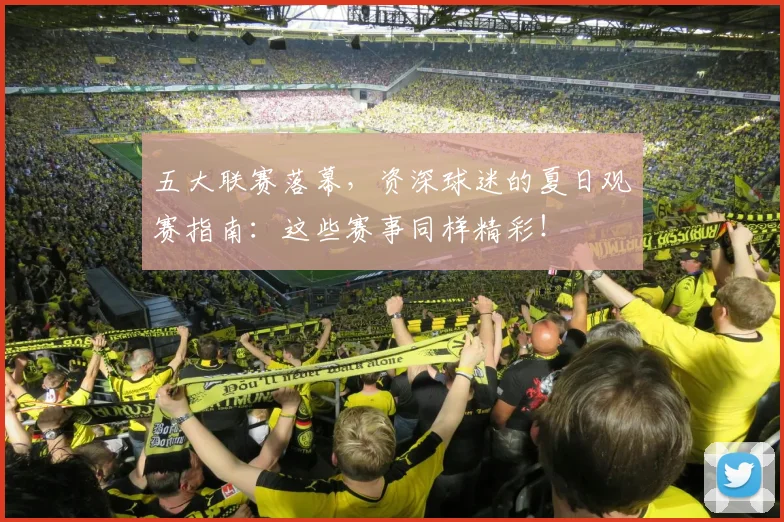 五大联赛落幕,资深球迷的夏日观赛指南:这些赛事同样精彩!